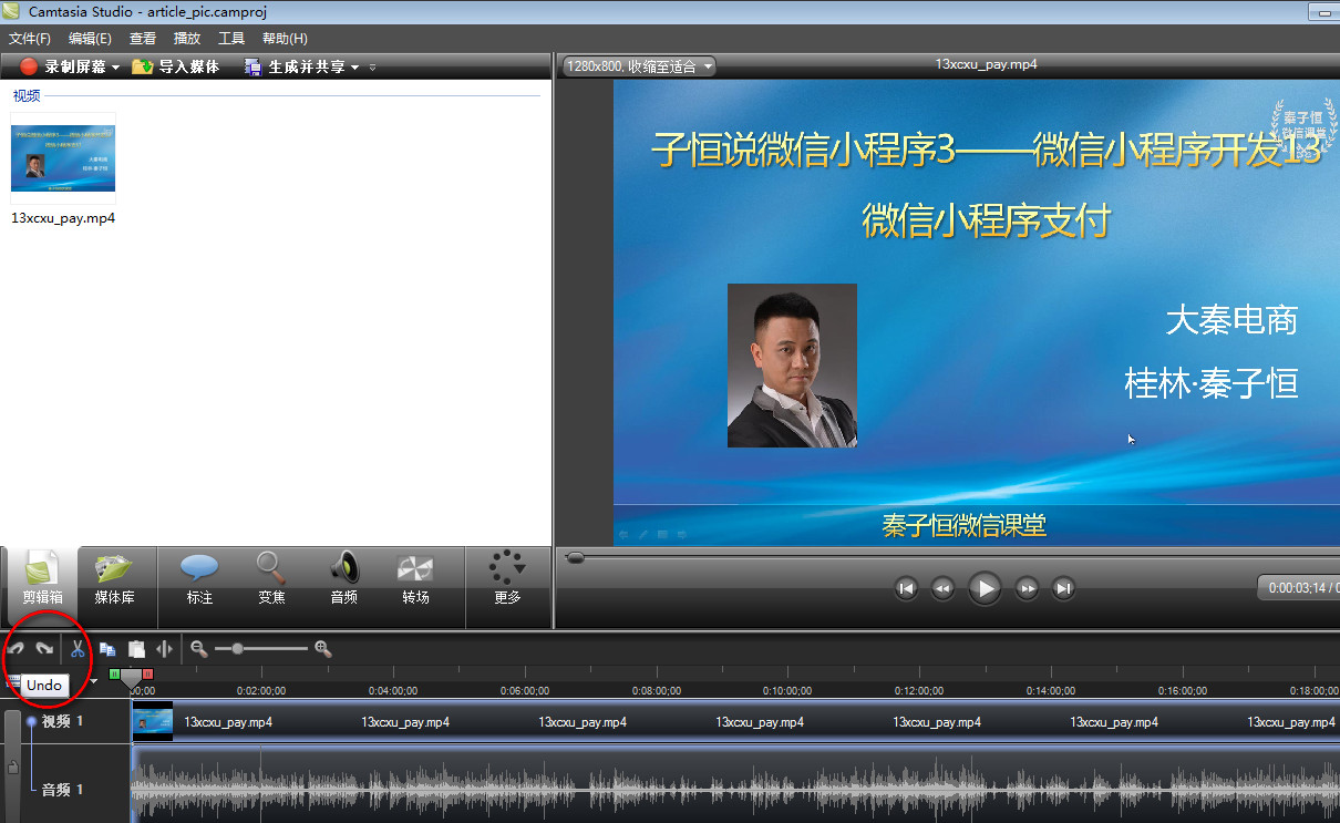 camtasia studio撤消操作